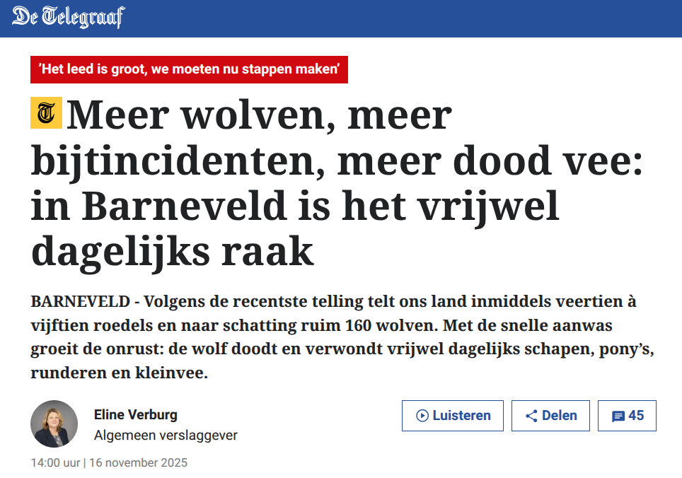 dagboek van nederland over wolven: meer wolven, meer bijtincidenten, meer dood vee