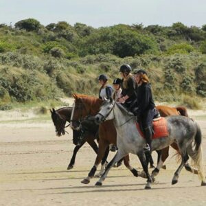 Paardrijden op het strand