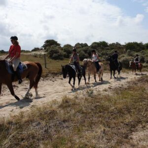 Paardrijden in de duinen