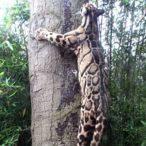 Dierentuinbelevenis Zie-ZOO