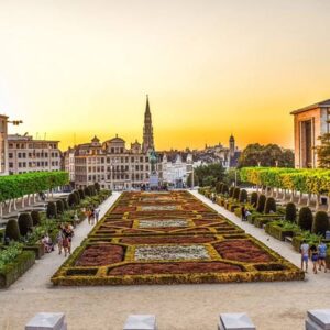 Een dagje Antwerpen, Brugge of Brussel!