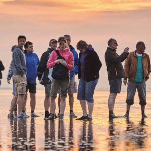 Wadlopen en zeehonden spotten