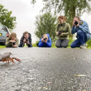 Natuurfotografie workshop Zouweboezem