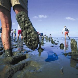 Wadlopen en Wellness