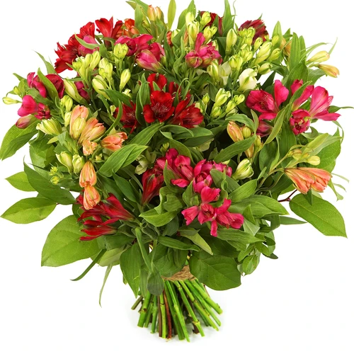 Boeket Alstroemerias (lang houdbaar)
