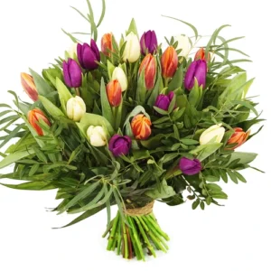 Tulpen Boeket Oranje, Paars, Crème