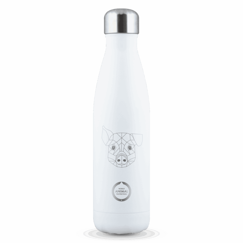 saywhat bottle biggetje