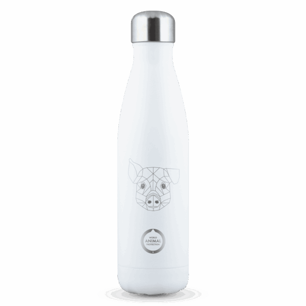 saywhat bottle biggetje