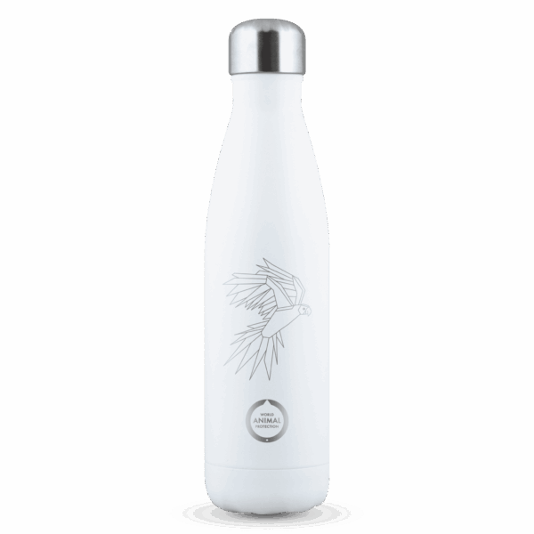 🌊 Saywhat Bottle WAP – Ara: Duurzaam Cadeau