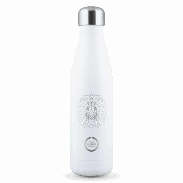 🌊 Saywhat Bottle WAP – Leeuw: Duurzaam Cadeau