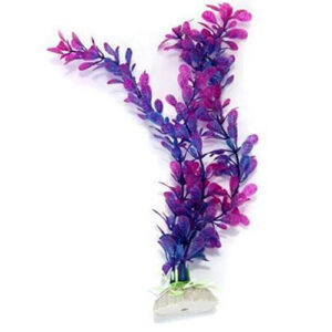 Cadeau voor aquariaan: Kunststof aquariumplant blauw-paars