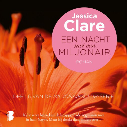 Luisterboek 'Een nacht met een miljonair' cadeau