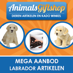 Animals Giftshop