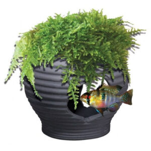 Cadeau voor aquariaan: Aquatic Nature Decor Mumo 2