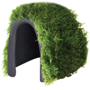 Cadeau voor aquariaan: Aquatic Nature Decor Mumo 4