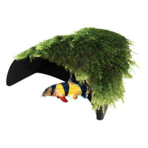 Cadeau voor aquariaan: Aquatic Nature Decor Mumo 6