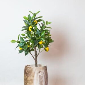 Kunstplant - Citrus Limonia - Citroenboom - 75 cm