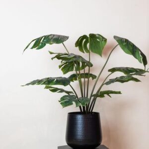 Monstera Deliciosa - kunstplant - 80 cm
