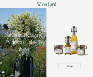 Wilder Land