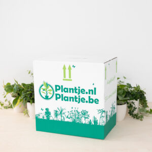 voordeelbox plantje.nl