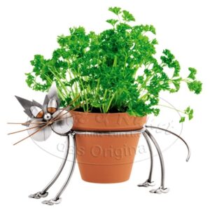 kat kruidenpot