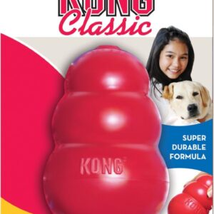 kong hondenspeeltje