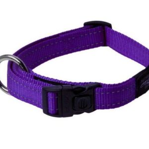 honden halsband paars