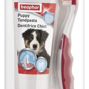 puppy tandenborstel en tandpasta