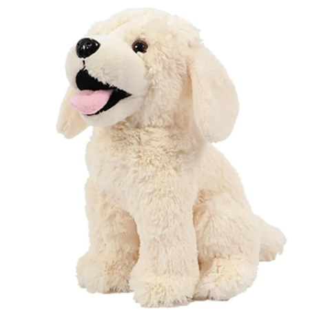15 cadeau-ideeën voor een puppy of adoptiehond