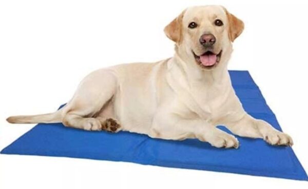 honden koelmat