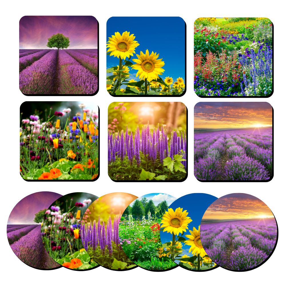 Onderzetters - Zomer - Pillow Buddies