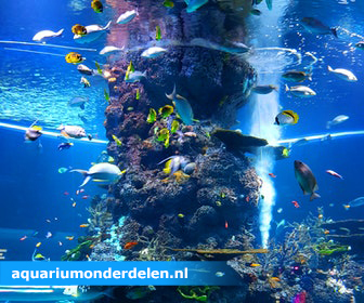 Aquariumonderdelen