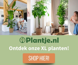 Plantje.nl