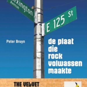 De plaat die rock volwassen maakte (Paperback)
